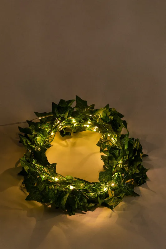 Guirlanda decorativa LED 5 m Keppa Promozione Esclusiva