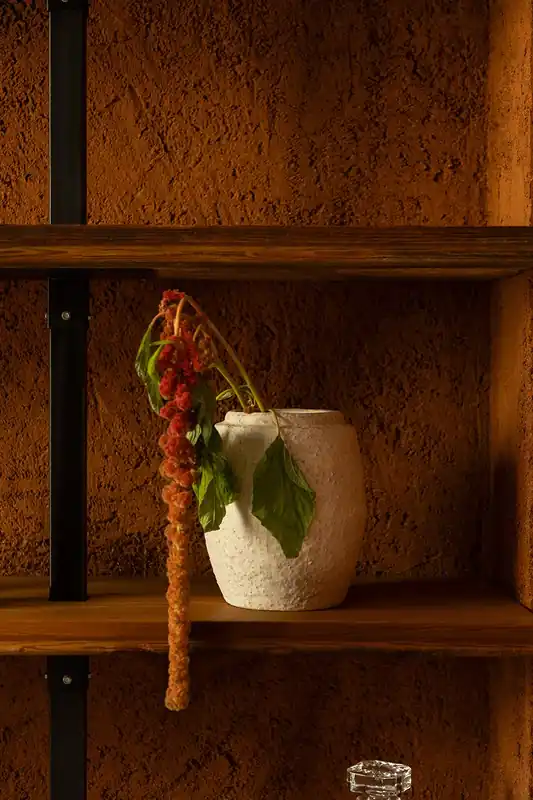 Spedizione Espresso Vaso decorativo in terracotta Camryn