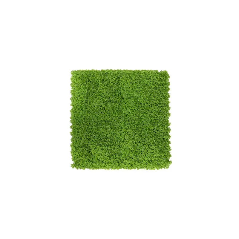 Siepe Artificiale da Parete 50x50 Muschio Nuova Collezione