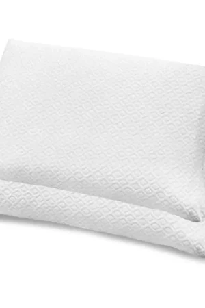 Equart Coppia Sotto Federe in Spugna Elastica per Cuscini Guanciale D90 Spedizione Espresso