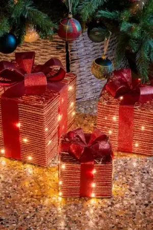 Set di 3 regali luminosi a pile 65 LED (H30 cm) Woodland Bordeaux e bianco caldo Scelto Dai Clienti