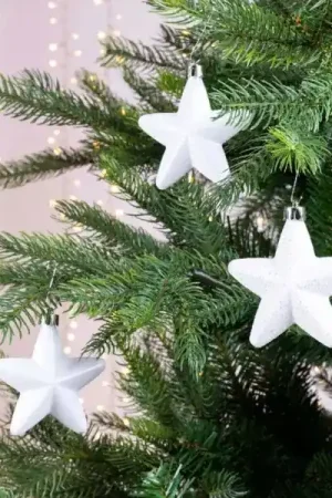 A Buon Prezzo Confezione di 6 stelle di Natale da appendere con clip Bianco