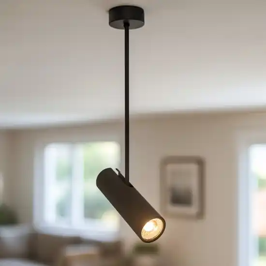Faretto con asta nero orientabile per soffitto Prezzo Di Fabbrica